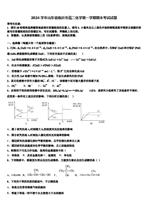 2024学年山东省临沂市高二化学第一学期期末考试试题含解析