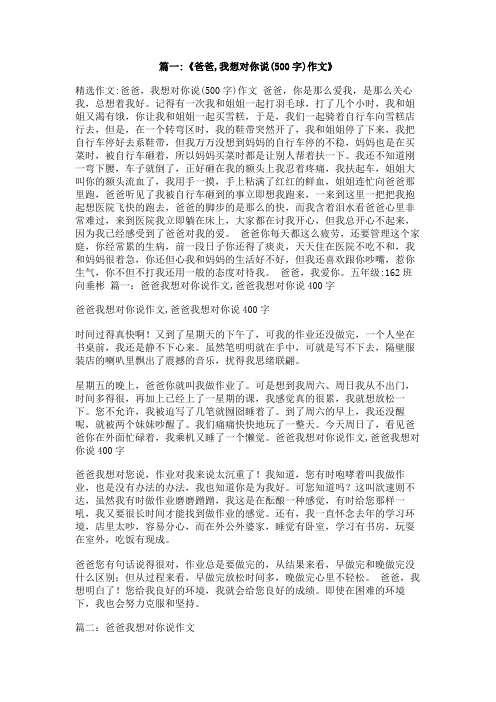 关于爸爸我想对你说的作文500字