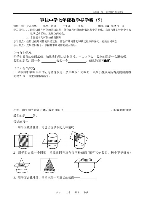 【OK】13截一个几何体讲学稿