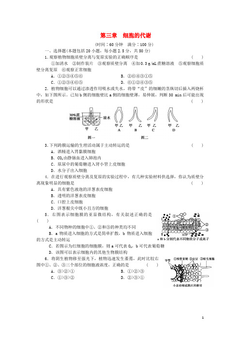 新高中生物第三章细胞的代谢单元检测(含解析)浙科版必修1