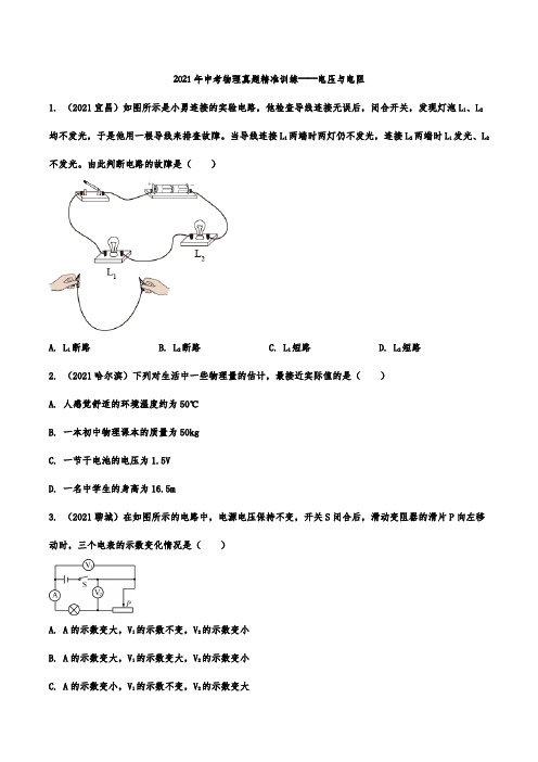 2021年中考物理真题精准训练——电压与电阻