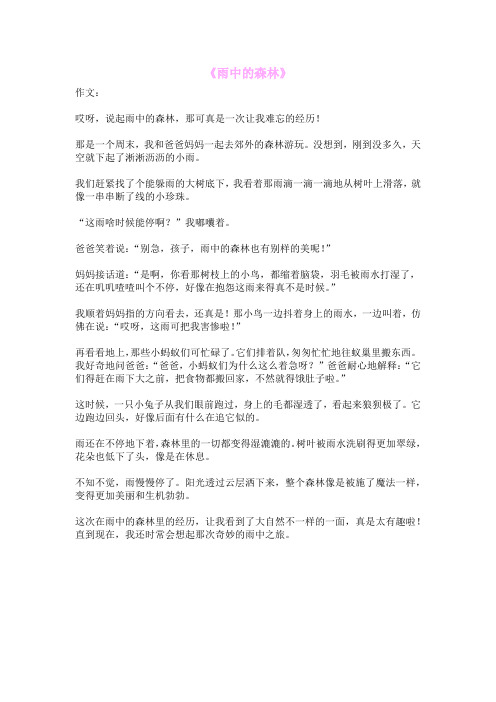 《雨中的森林》