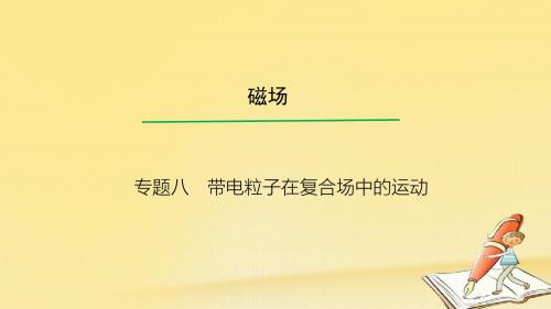 2018高考物理一轮总复习教学课件(人教版)：专题8 带电粒子在复合场中的运动 (共32张PPT)