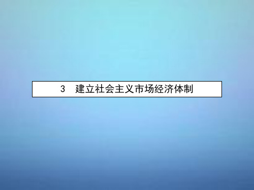 人教版高中政治选修二5.3《建立社会主义市场经济体制》ppt课件