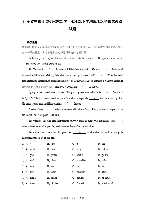 广东省中山市2023-2024学年七年级下学期期末水平测试英语试题