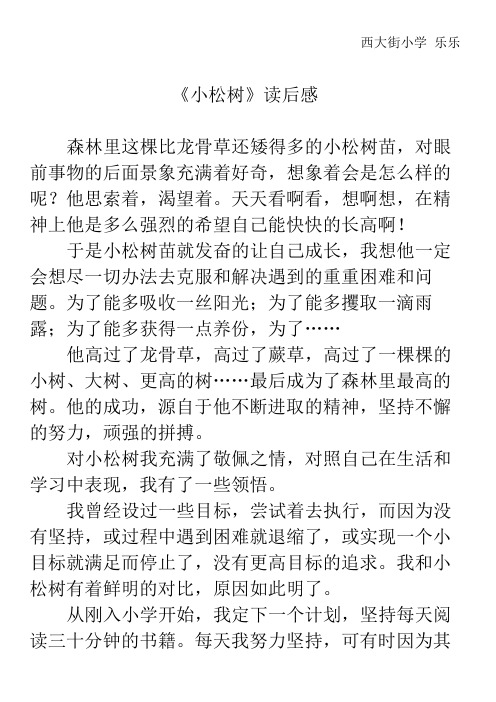 《小松树》读后感