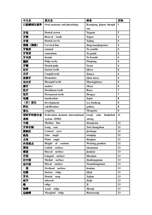 口腔解剖生理学词汇