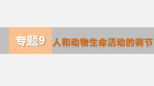 高考生物 二轮复习 专题9 人和动物生命活动的调节