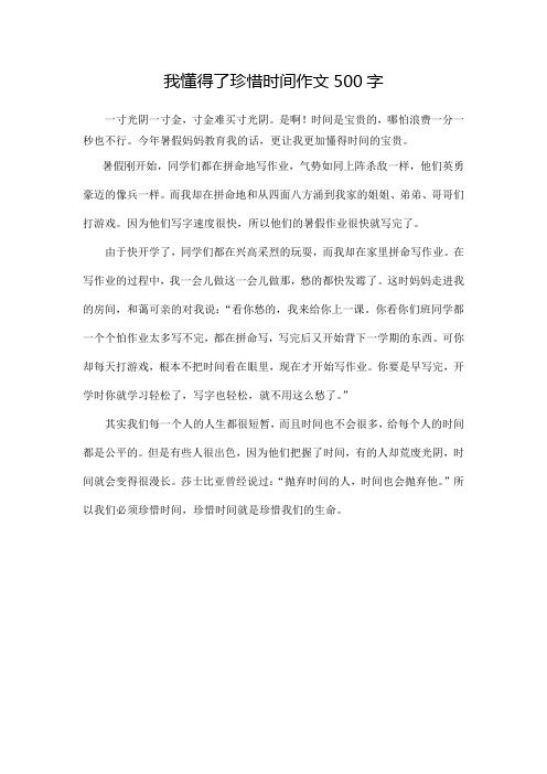 我懂得了珍惜时间作文500字