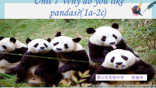 2019-2020年鲁教版五四制六年级英语下册课件：Unit 7 Why do you like pandas (共38张PPT)