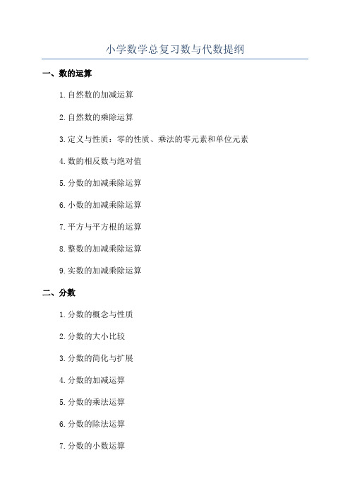 小学数学总复习数与代数提纲