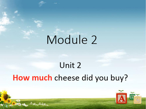 外研版五年级英语上M2U2 How much cheese did you buy？