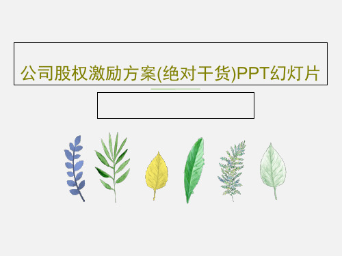 公司股权激励方案(绝对干货)PPT幻灯片共48页