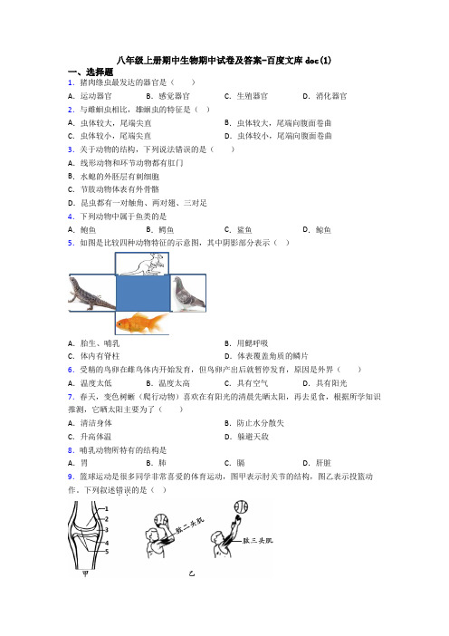 八年级上册期中生物期中试卷及答案-百度文库doc(1)