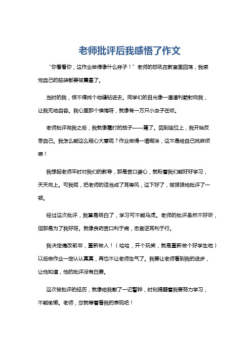 老师批评后我感悟了作文