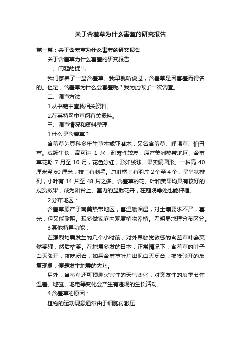 关于含羞草为什么害羞的研究报告