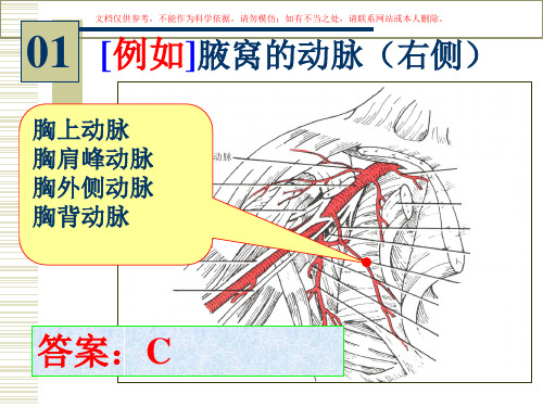 人体解剖学实验图片培训课件