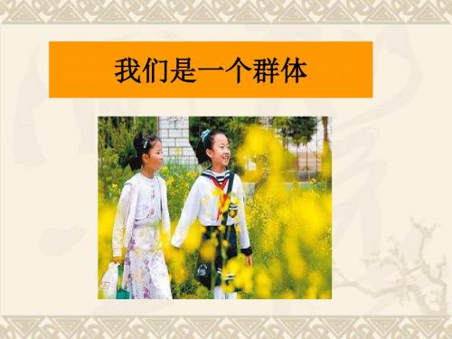 第一课第二节我们是一个群体
