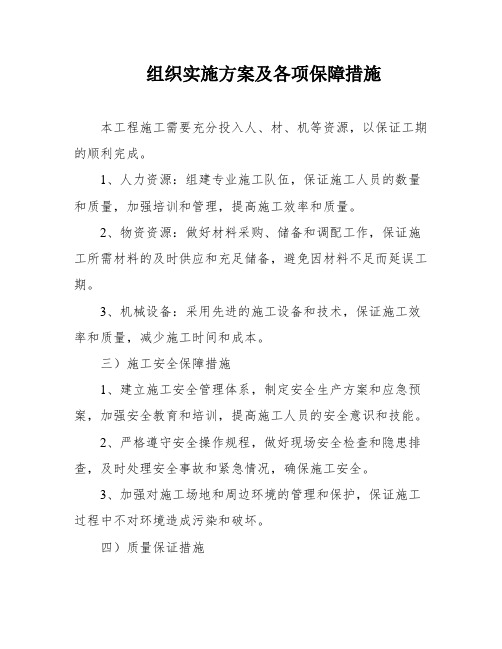 组织实施方案及各项保障措施