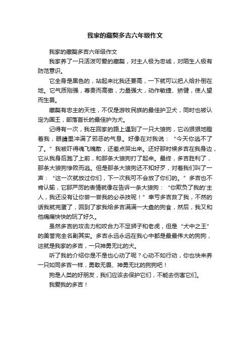 我家的藏獒多吉六年级作文