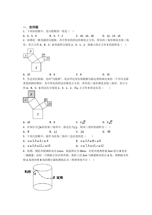 (北师大版)成都市八年级数学上册第一单元《勾股定理》检测(含答案解析)