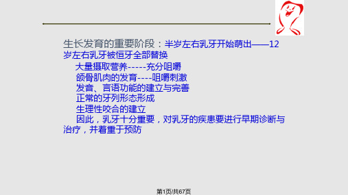 乳牙的解剖形态PPT课件
