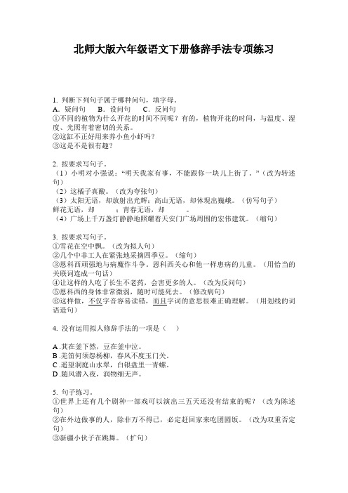 北师大版六年级语文下册修辞手法专项练习