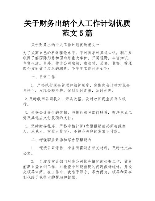 关于财务出纳个人工作计划优质范文5篇