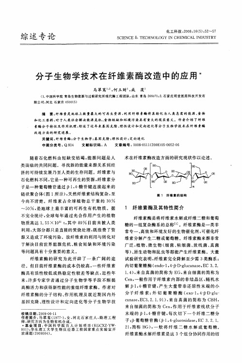 分子生物学技术在纤维素酶改造中的应用