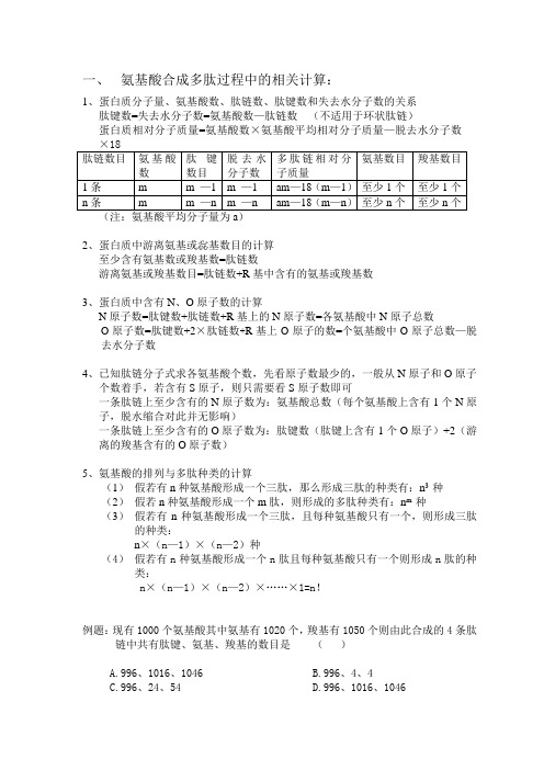 氨基酸合成多肽过程中的相关计算