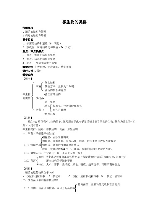 高三生物一轮复习教案：微生物的类群