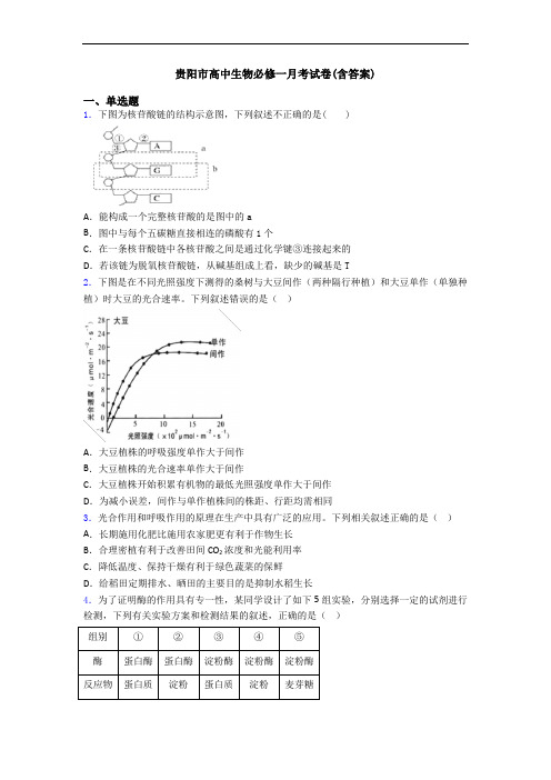 贵阳市高中生物必修一月考试卷(含答案)