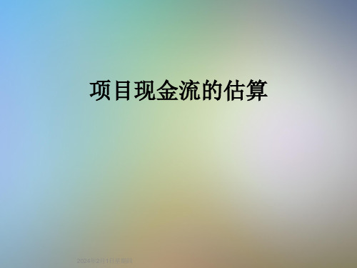 项目现金流的估算