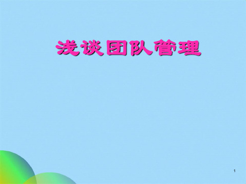 团队管理案例分析(共53张PPT)