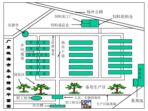 各大猪场平面设计图!!!