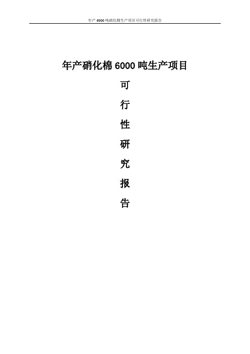 年产6000吨硝化棉生产项目可行研究报告