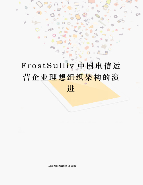 FrostSulliv中国电信运营企业理想组织架构的演进