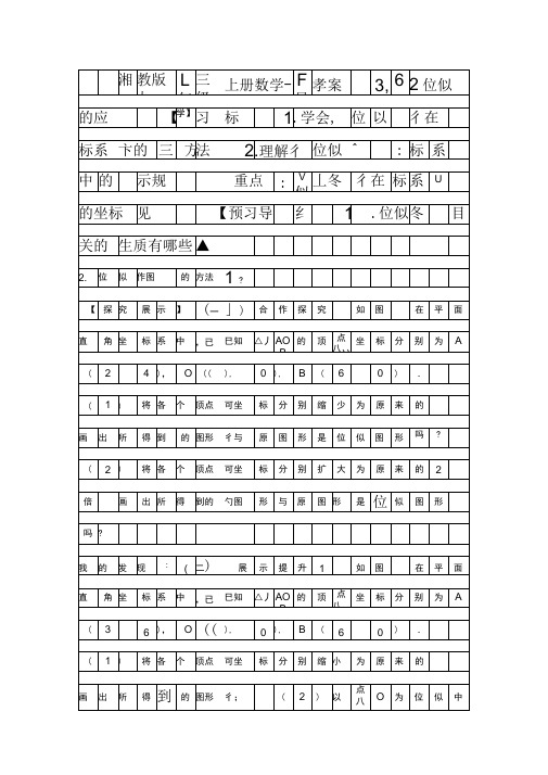 位似2导学案新湘教版