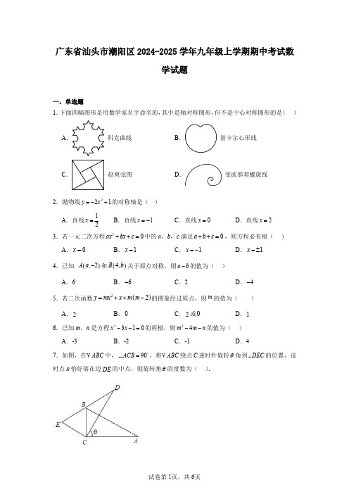 广东省汕头市潮阳区2024-2025学年九年级上学期期中考试数学试题