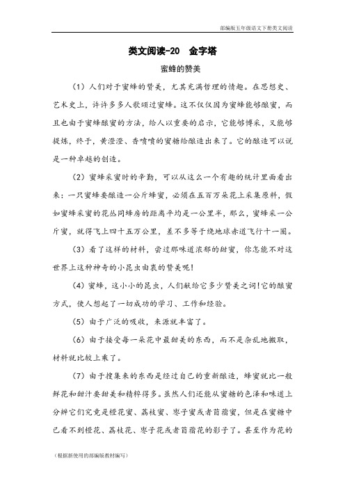 部编版五年级语文下册《 金字塔》阅读理解练习题含答案