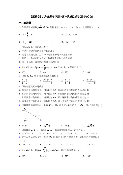 【压轴卷】九年级数学下期中第一次模拟试卷(带答案)(1)