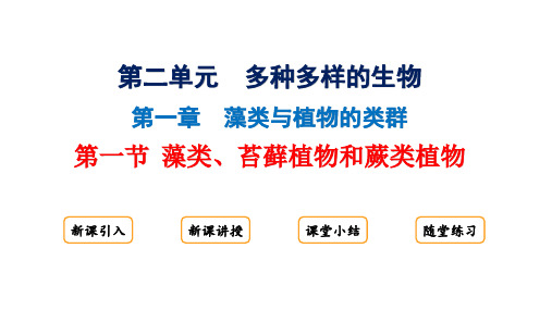 2.1.1藻类、苔藓植物和蕨类植物课件 2024-2025学年人教版生物七年级上册