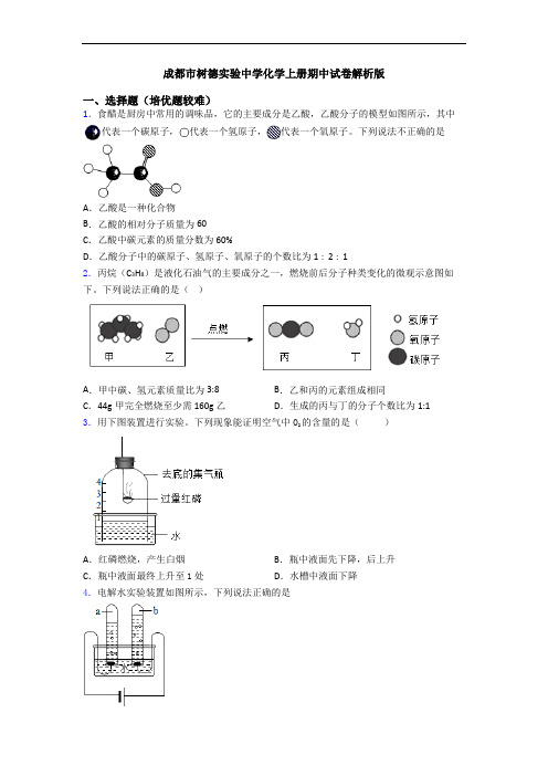 成都市树德实验中学化学上册期中试卷解析版