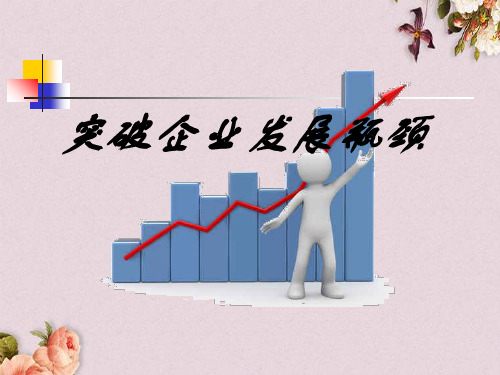 突破企业发展瓶颈(PPT 34页)