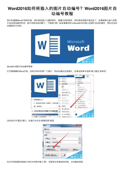 Word2016如何将插入的图片自动编号？Word2016图片自动编号教程