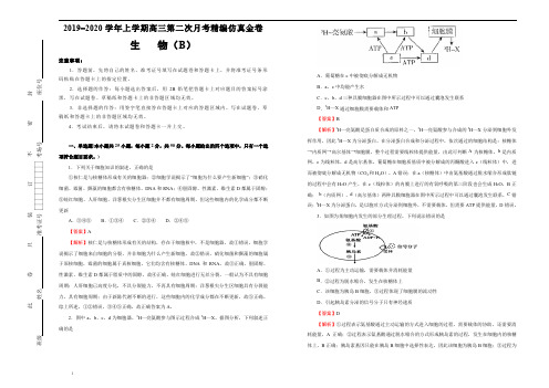 2019-2020学年上学期高三第二次月考精编仿真金卷 生物(B卷) 教师版