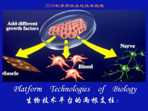 2003秋季高级生化技术教程-精品文档