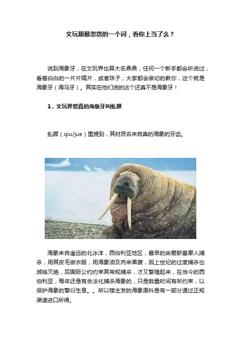 文玩届最忽悠的一个词，看你上当了么？