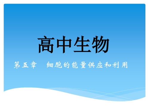 高中生物《酶的作用和本质》公开课教学课件