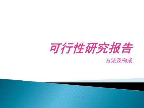 第十二章可行性研究报告